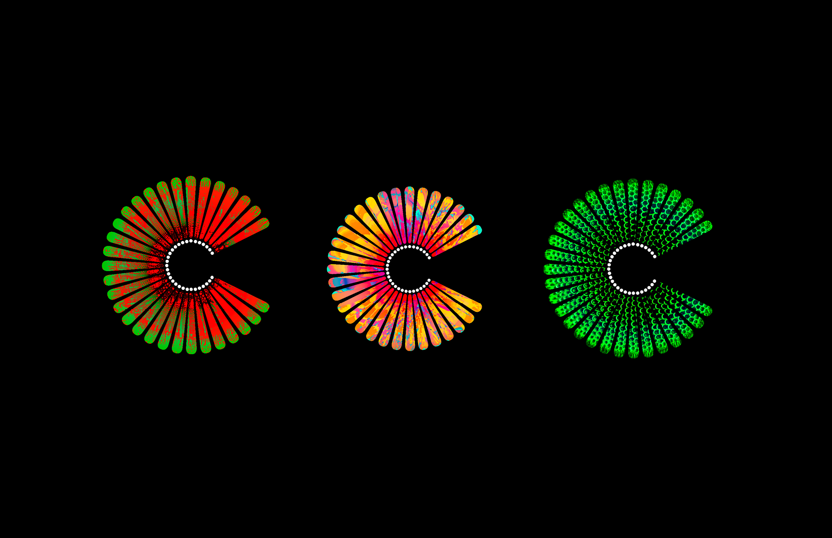 Cocoon_Portfolio_Web4.png