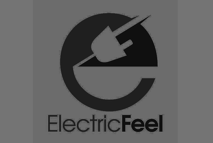  Client:&nbsp; Electric Feel  Industry:&nbsp; EV (Electric Vehicles)  Project:&nbsp; Crowdfunding strategy, Ad creative  