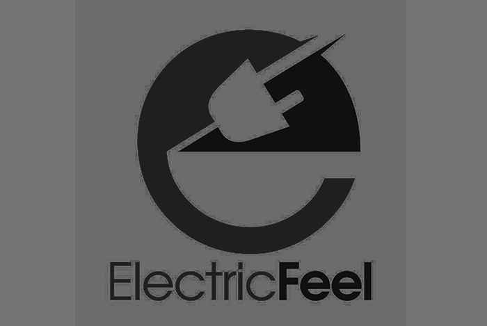 Client: Electric Feel Industry: EV (Electric Vehicles) Project: Crowdfunding strategy, Ad creative