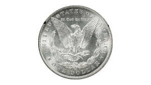 1891-CC GSA Morgan Silver Dollar NGC MS-62 — Southgate Coins