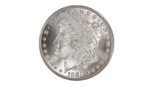 1881-CC GSA Morgan Silver Dollar NGC MS-66 — Southgate Coins