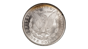 1881-CC GSA Morgan Silver Dollar NGC MS-66 — Southgate Coins