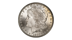 1883-CC GSA Morgan Silver Dollar NGC MS-66 — Southgate Coins