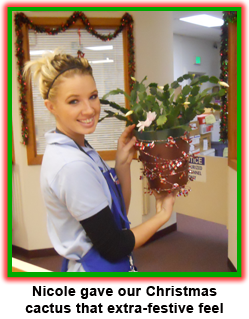 Nicole Hoff decorates the coin shop for holiday shoppers at Southgate Coins