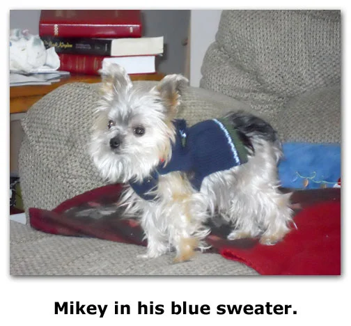 Mikey poses on the Goes house, in his blue sweater