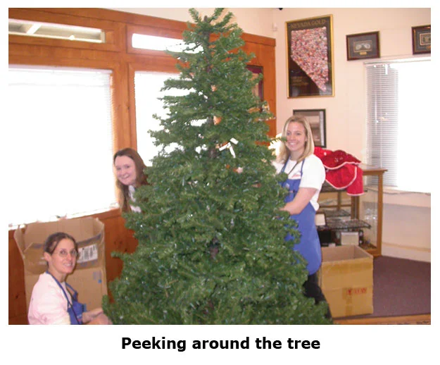 Southgate Coins staff peek around the Christmas tree