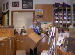 Rachel putting Christmas decorations for Southgate Coins