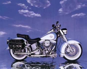 A typical motorcycle found at Reno’s street vibrations