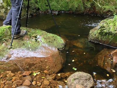 The trick is not to fall in...