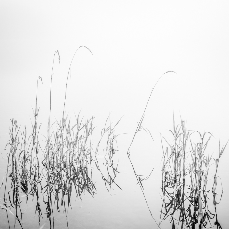 Buttermere Shoreline