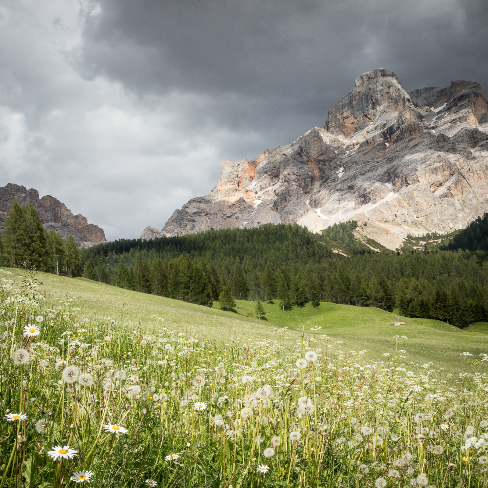 Dolomiti III-1.jpg