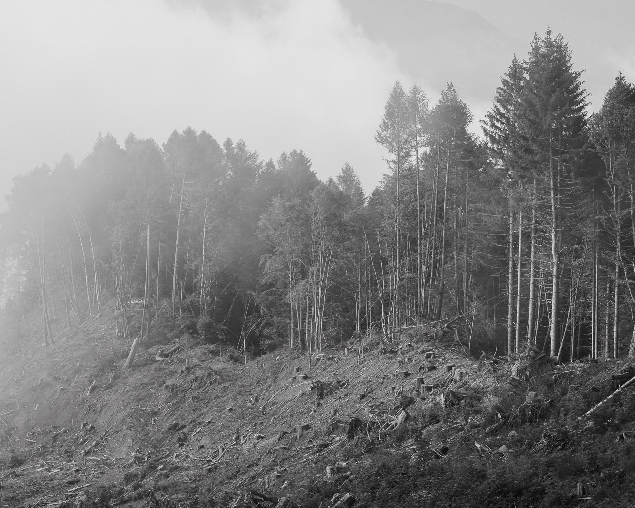 Approaching storm Photograph by Gregor Vojscak - Pixels