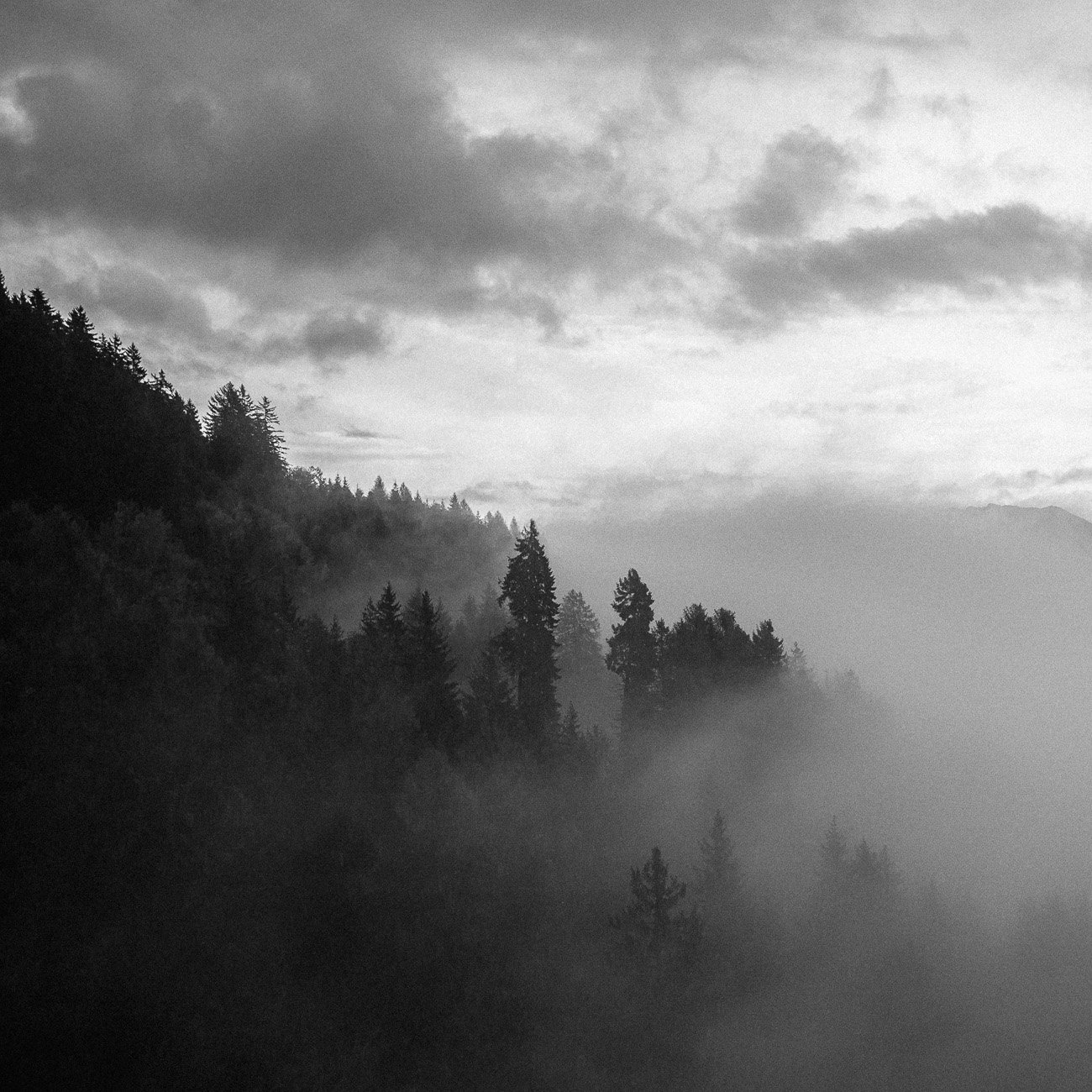 Monte-7.jpg