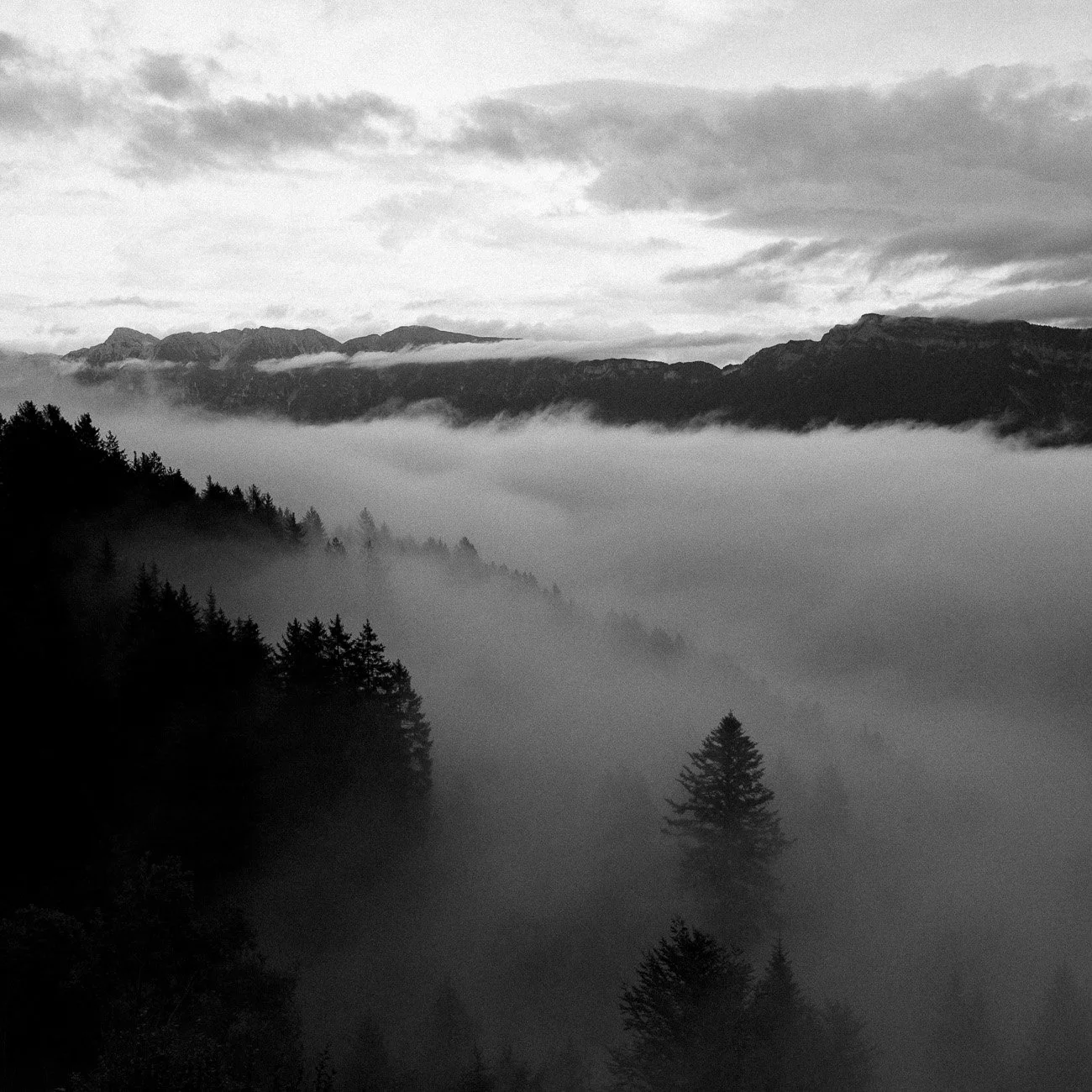 Monte-10.jpg