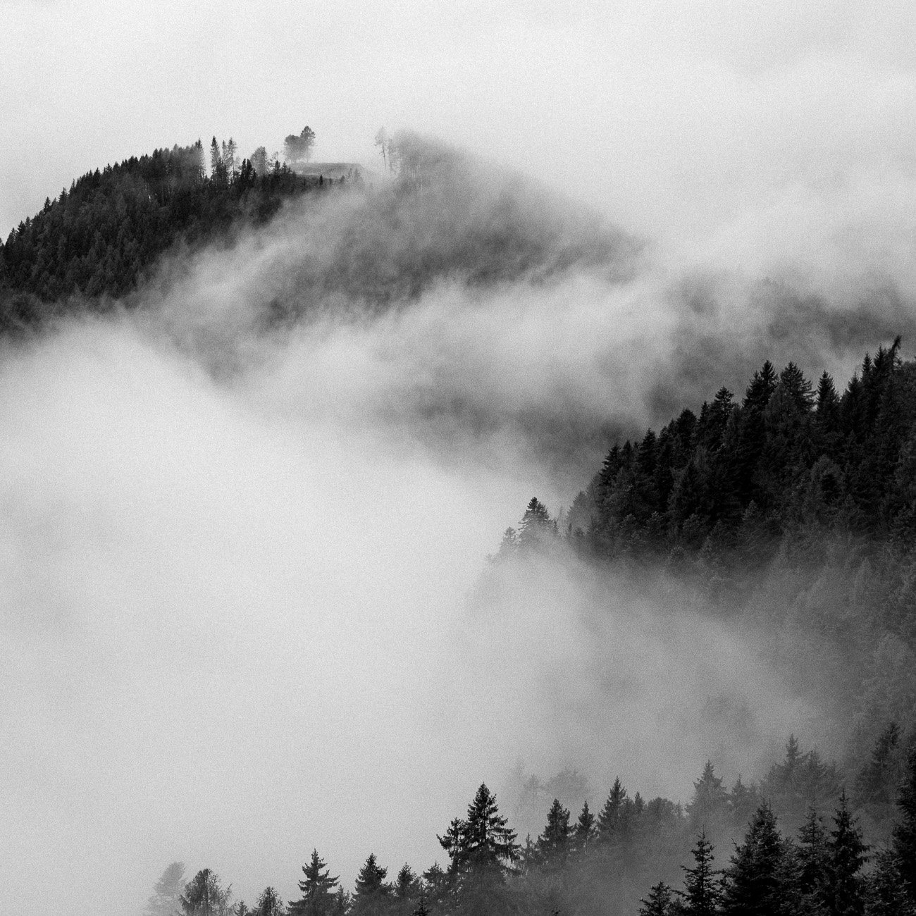 Monte-3.jpg