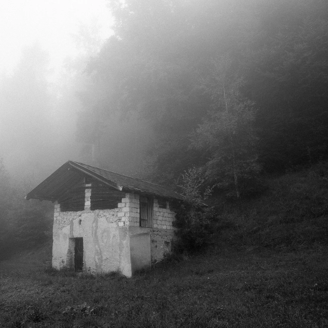 Monte-5.jpg