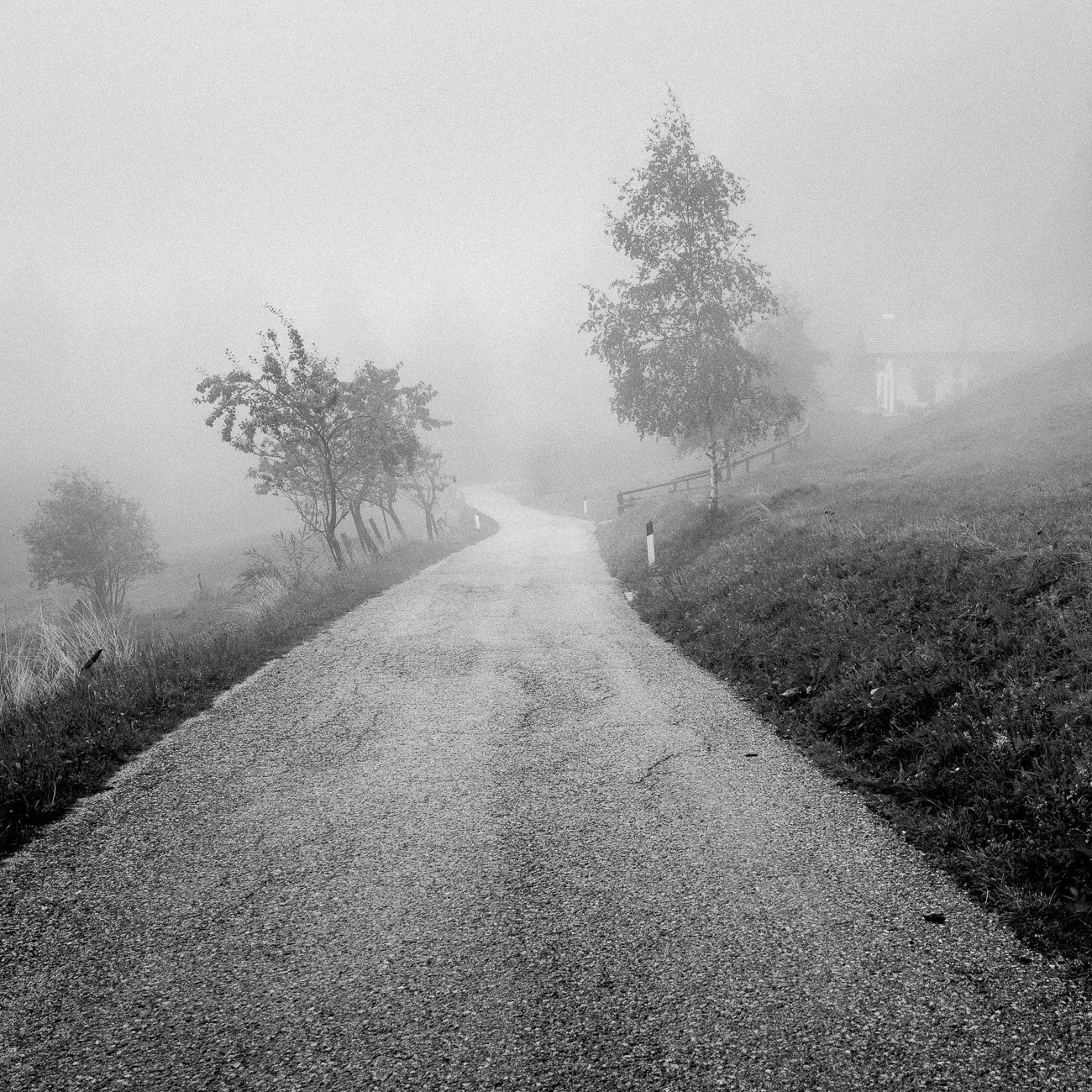 Monte-6.jpg