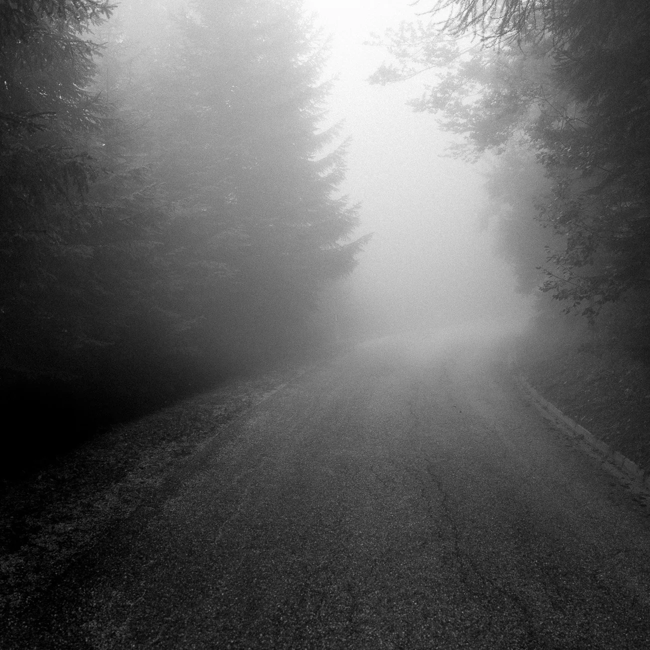 Monte-2.jpg