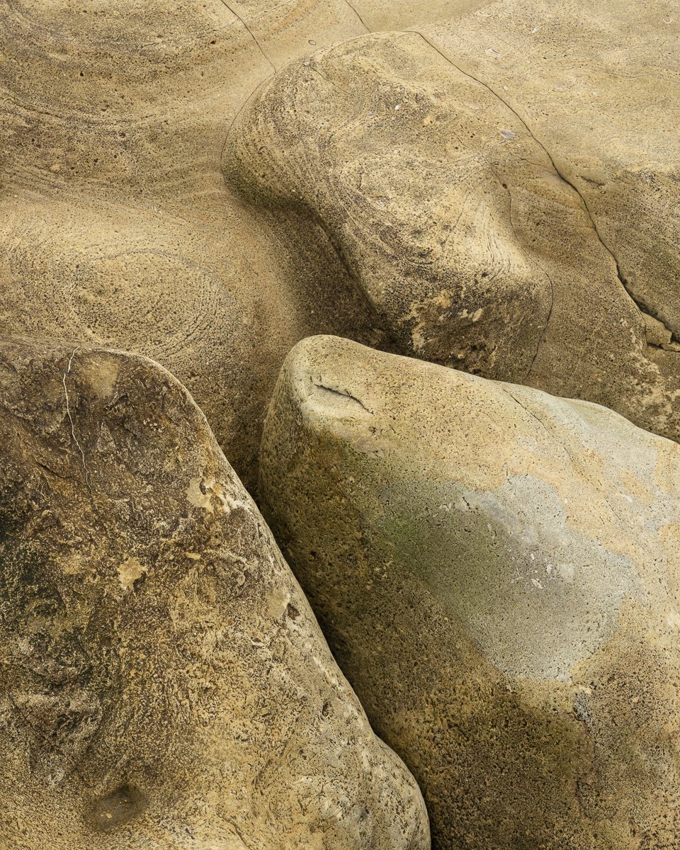 _DSC9496.jpg