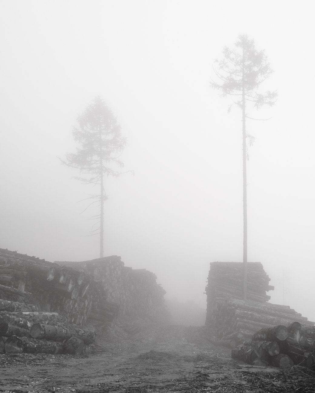 Approaching storm Photograph by Gregor Vojscak - Pixels