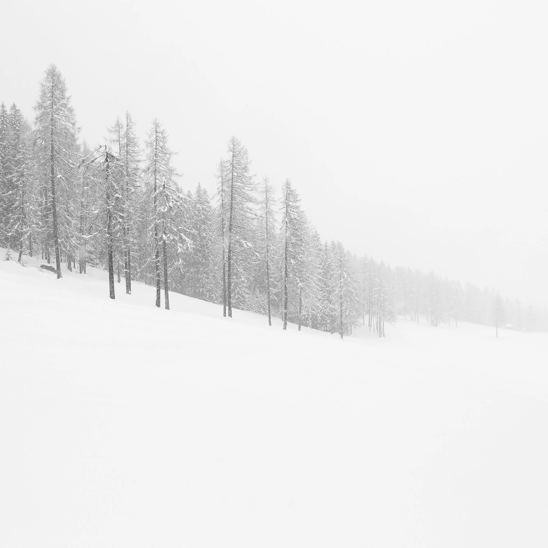 Dolomiti I-1.jpg