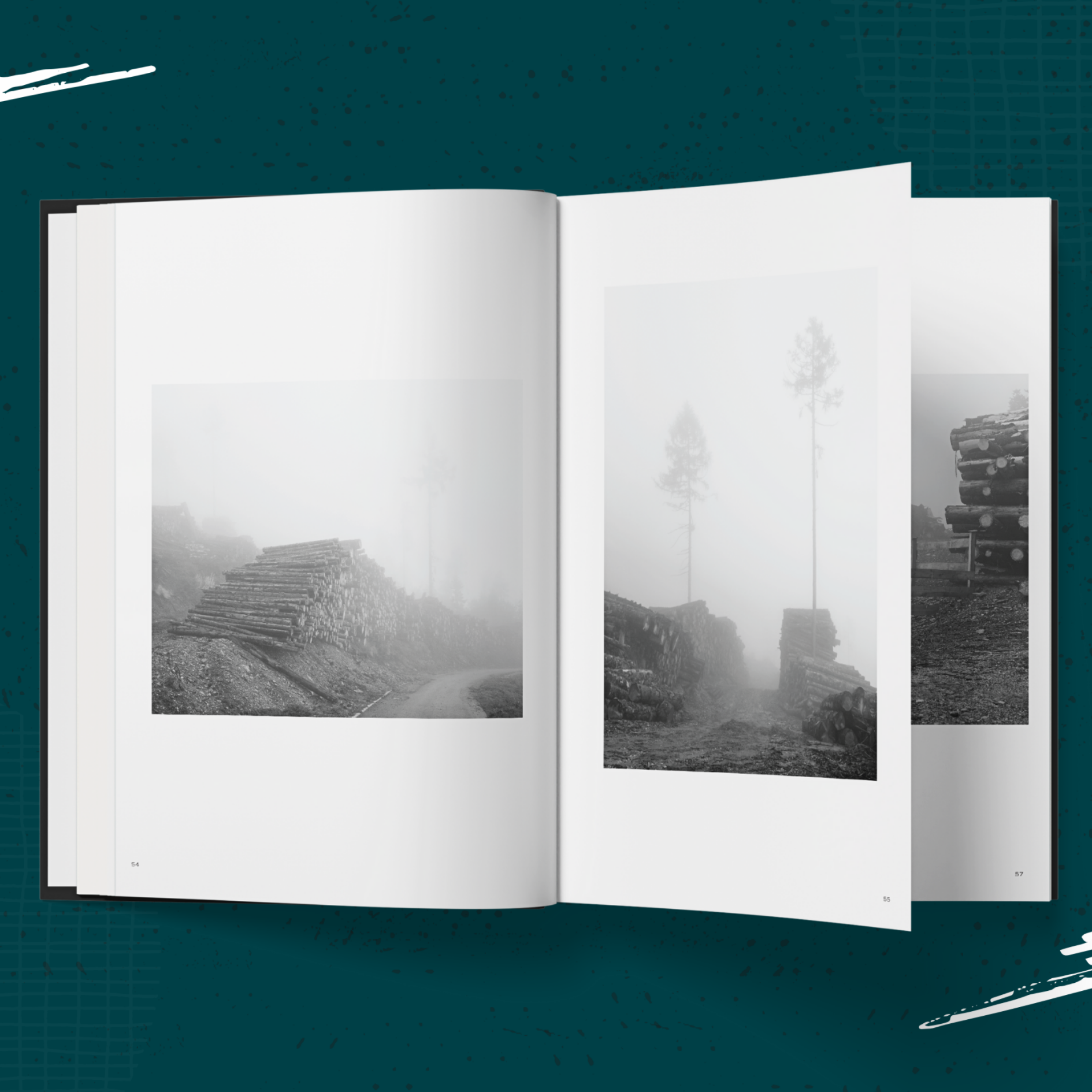 VAIA-Sq-Headshot-SamGregory (3).png