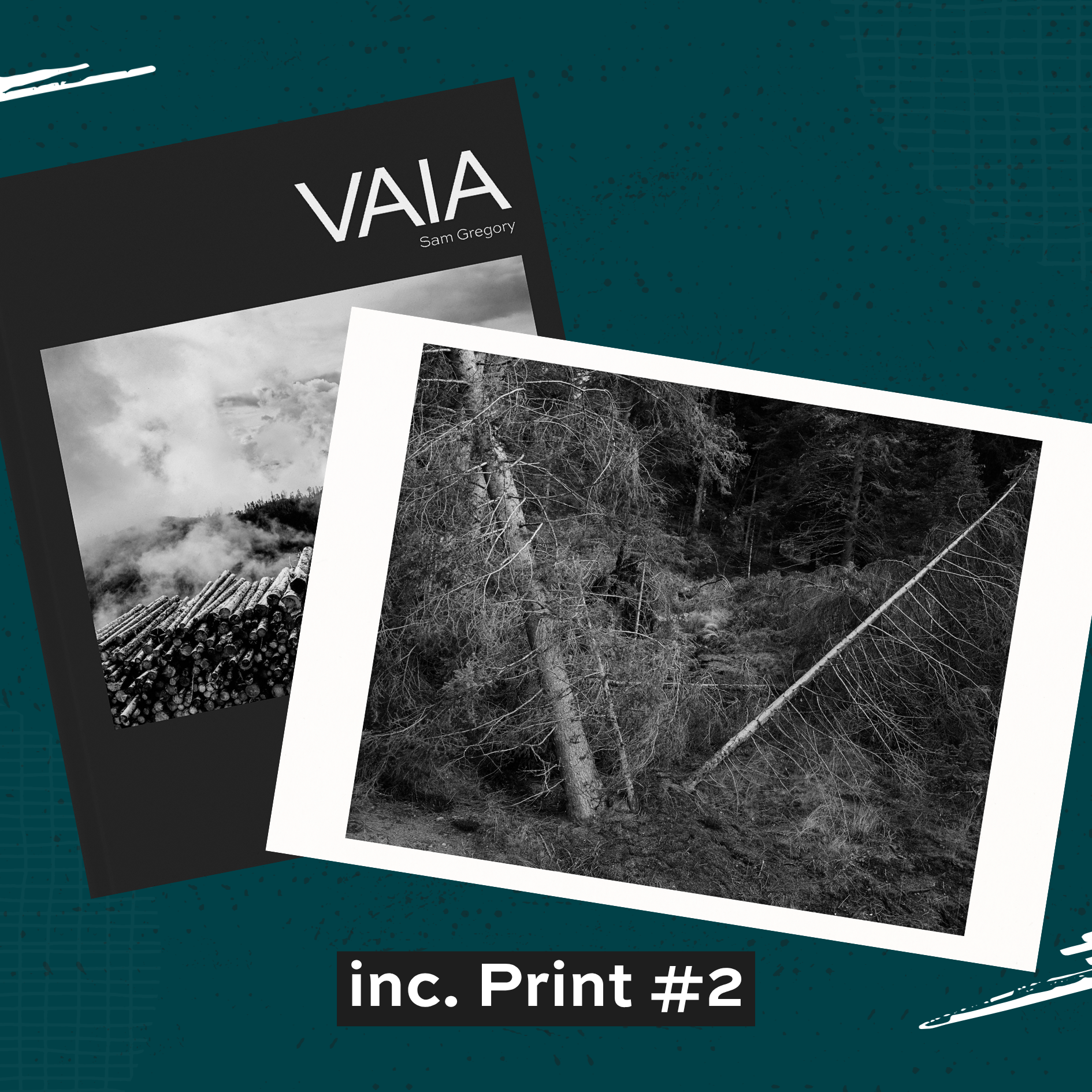 VAIA-Sq-Headshot-SamGregory (5).png