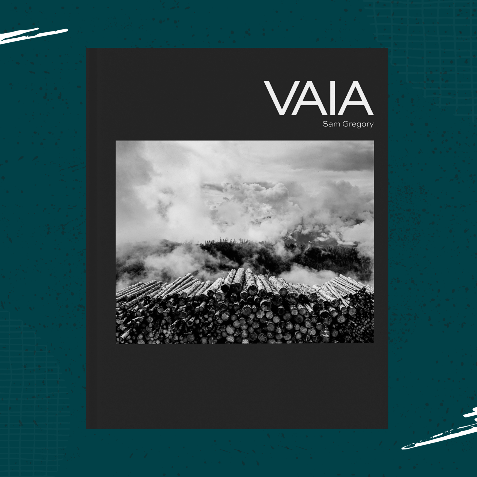 VAIA-Sq-Headshot-SamGregory.png (Copy) (Copy)