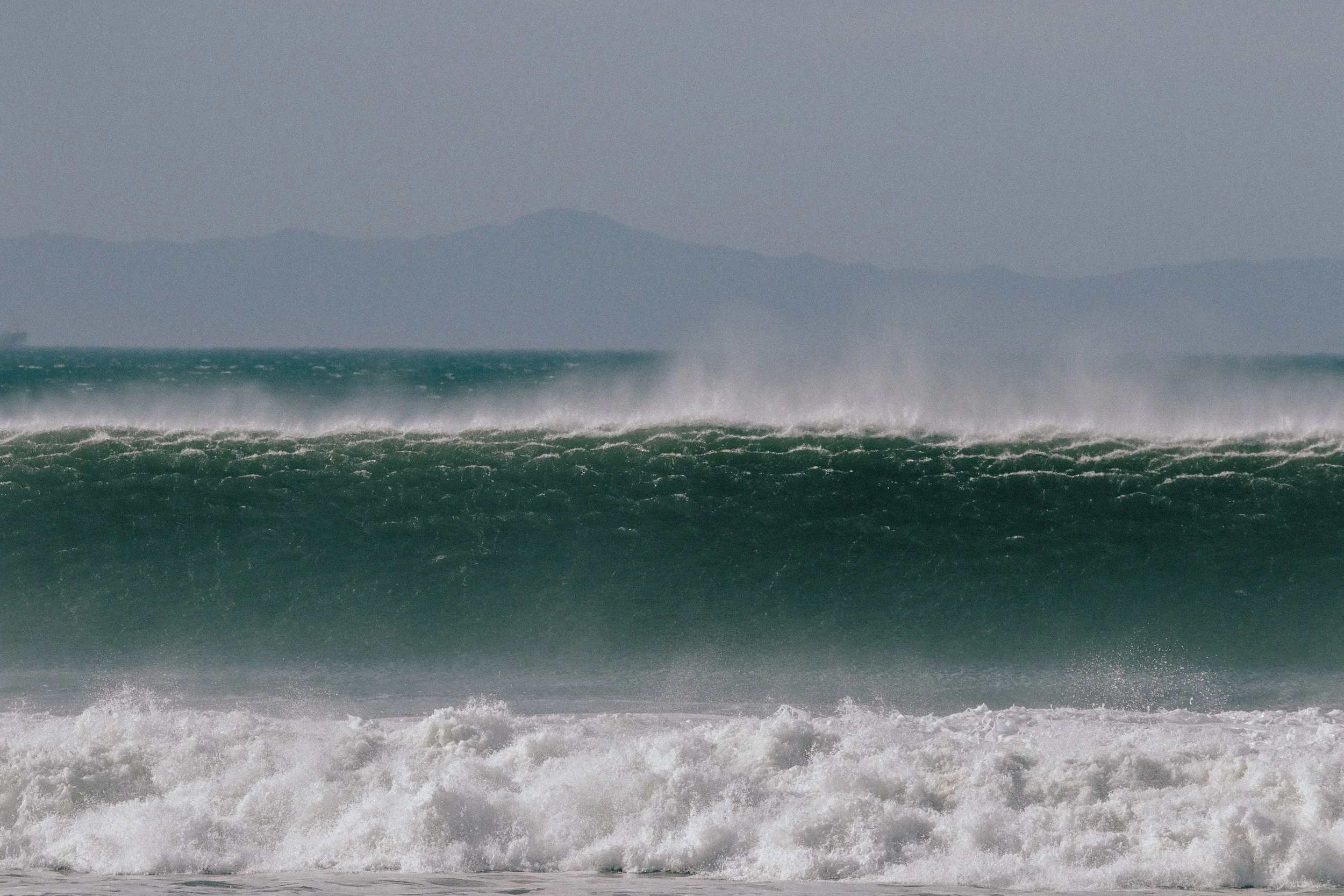 West Swell Dec 8 2020 photo @_bethorourke_-109.jpg