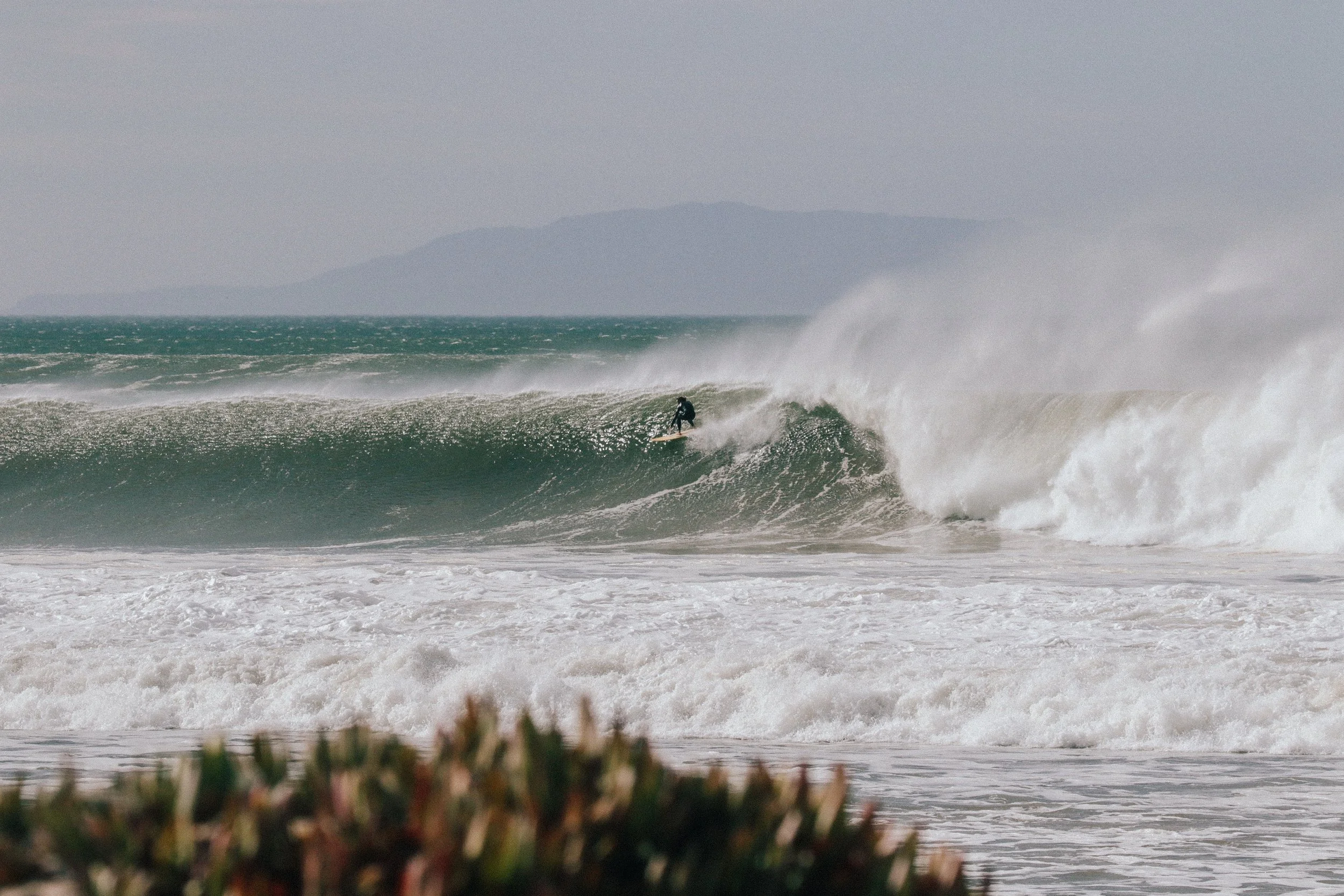 West Swell Dec 8 2020 photo @_bethorourke_-147.jpg