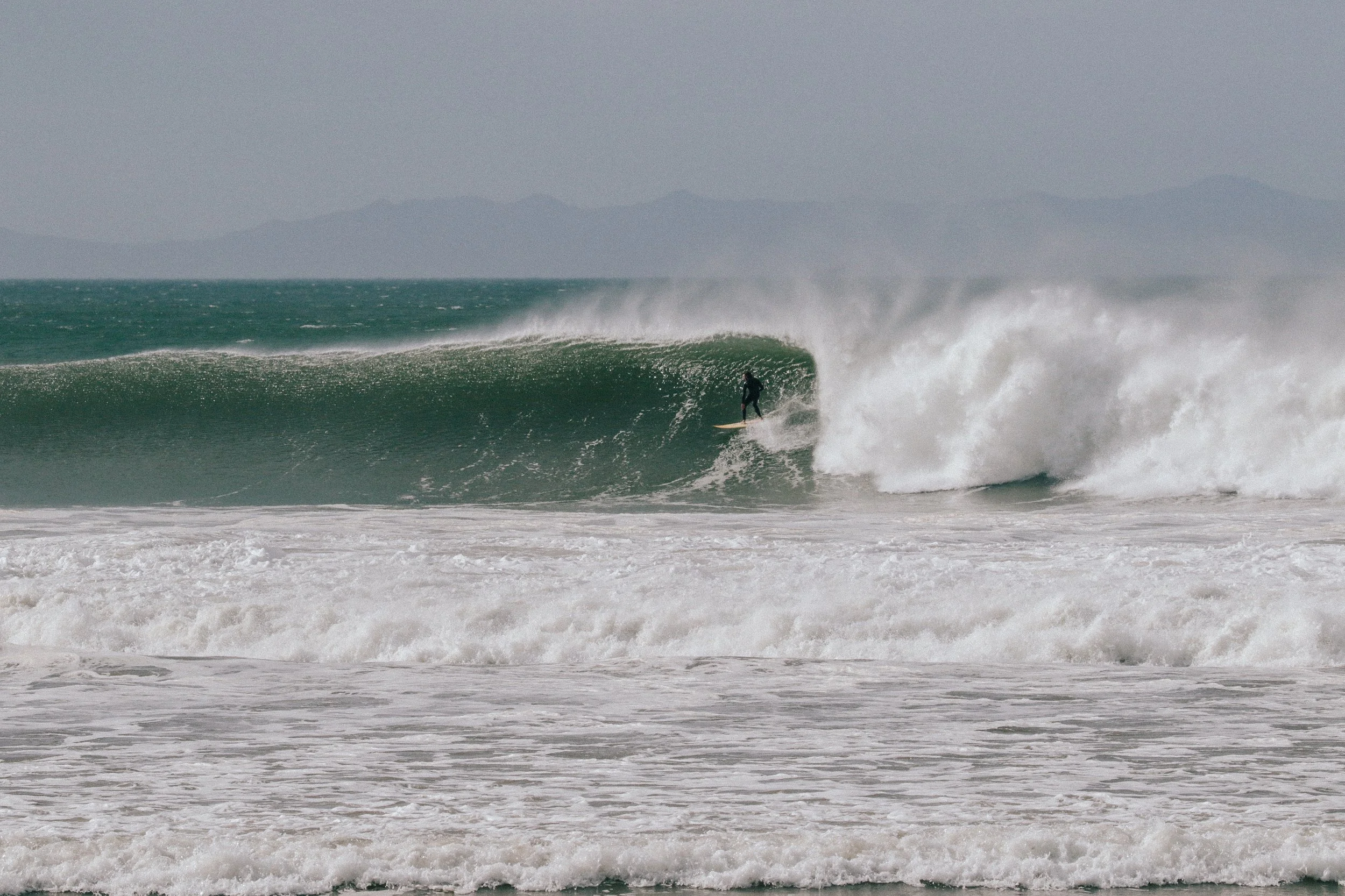 West Swell Dec 8 2020 photo @_bethorourke_-159.jpg