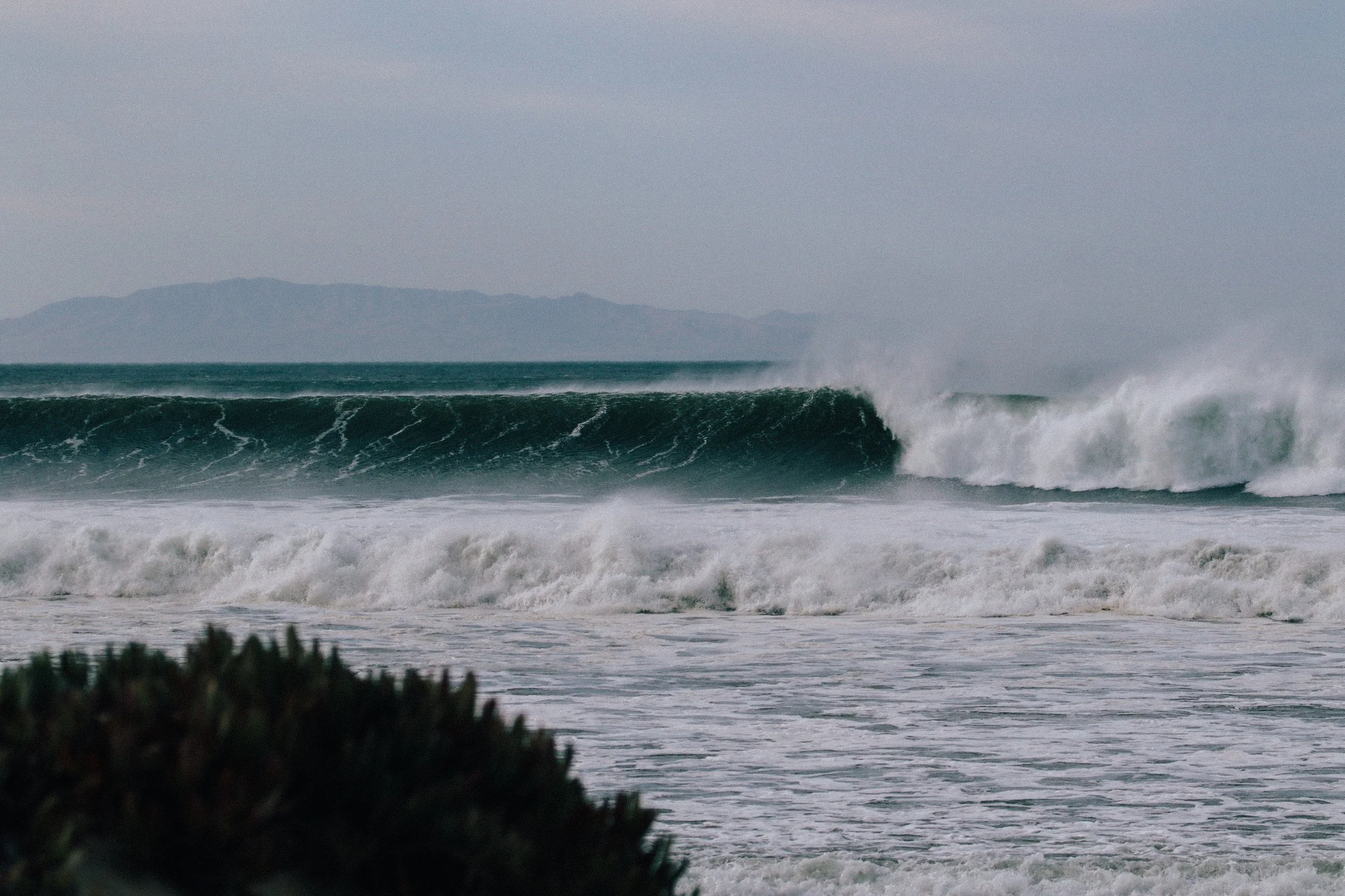 West Swell Dec 8 2020 photo @_bethorourke_-172.jpg