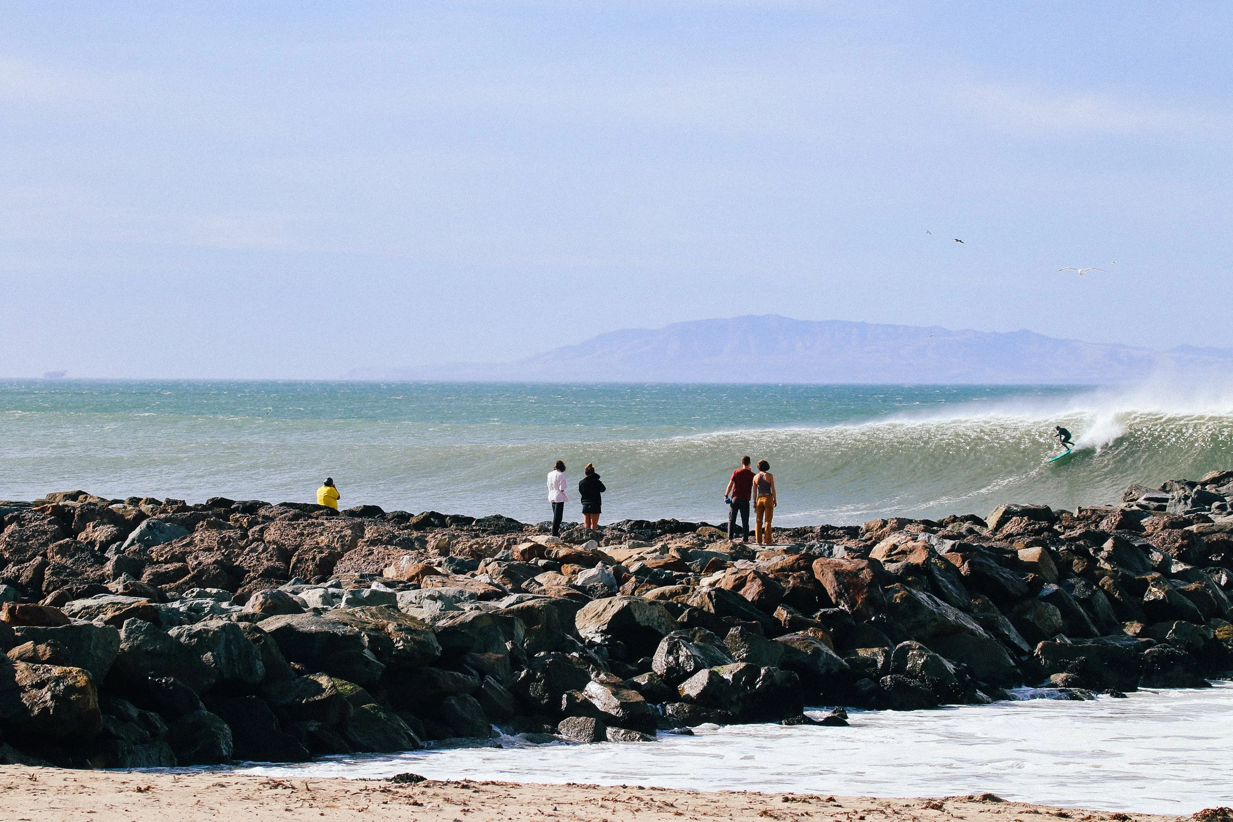 West Swell Dec 8 2020 photo @_bethorourke_-193.jpg