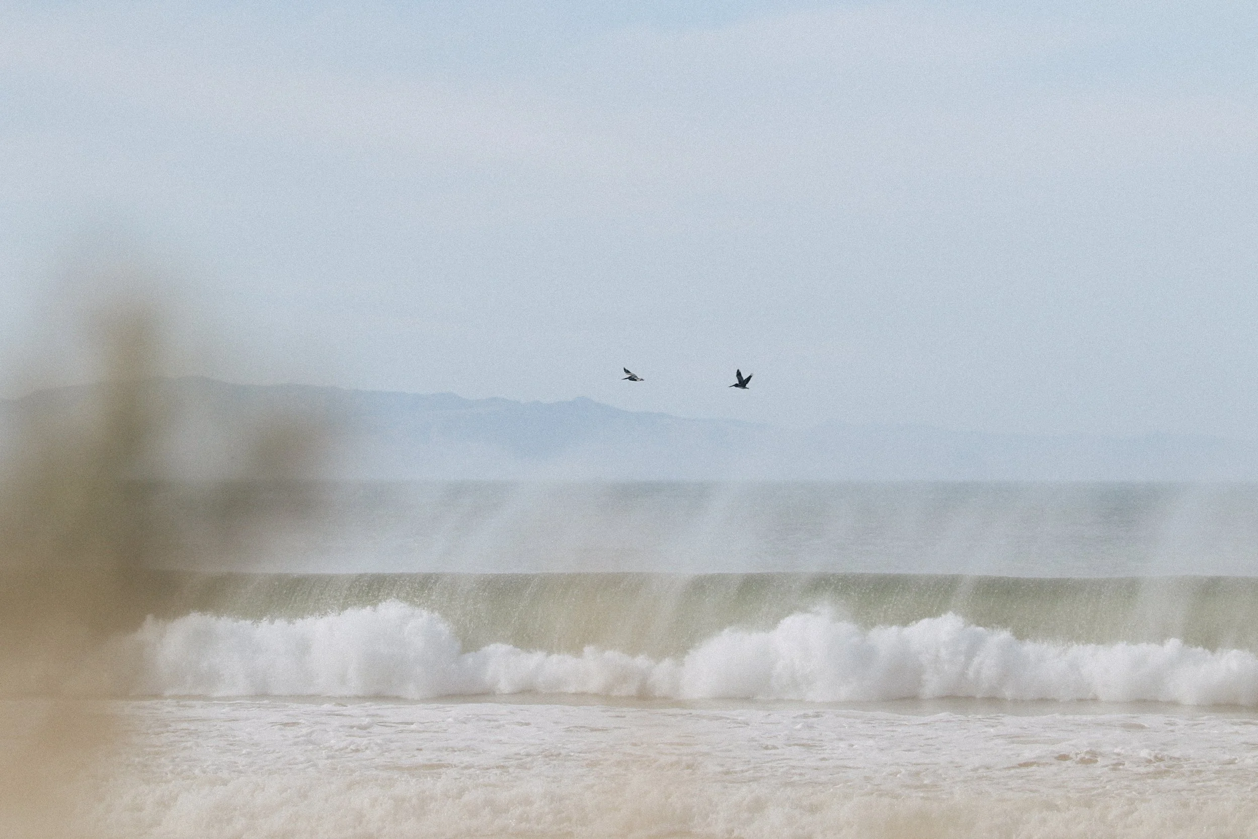 West Swell Dec 8 2020 photo @_bethorourke_-203.jpg