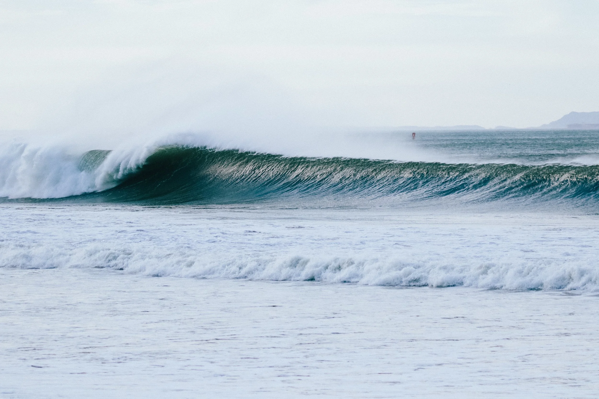 West Swell Dec 8 2020 photo @_bethorourke_-199.jpg