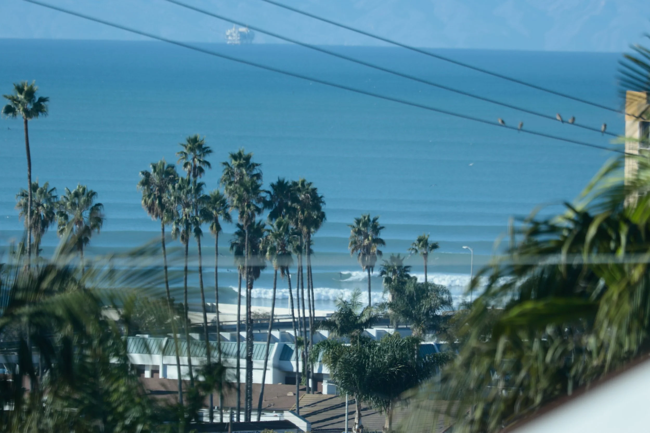 Big Swell December 2 2025 -02.jpg