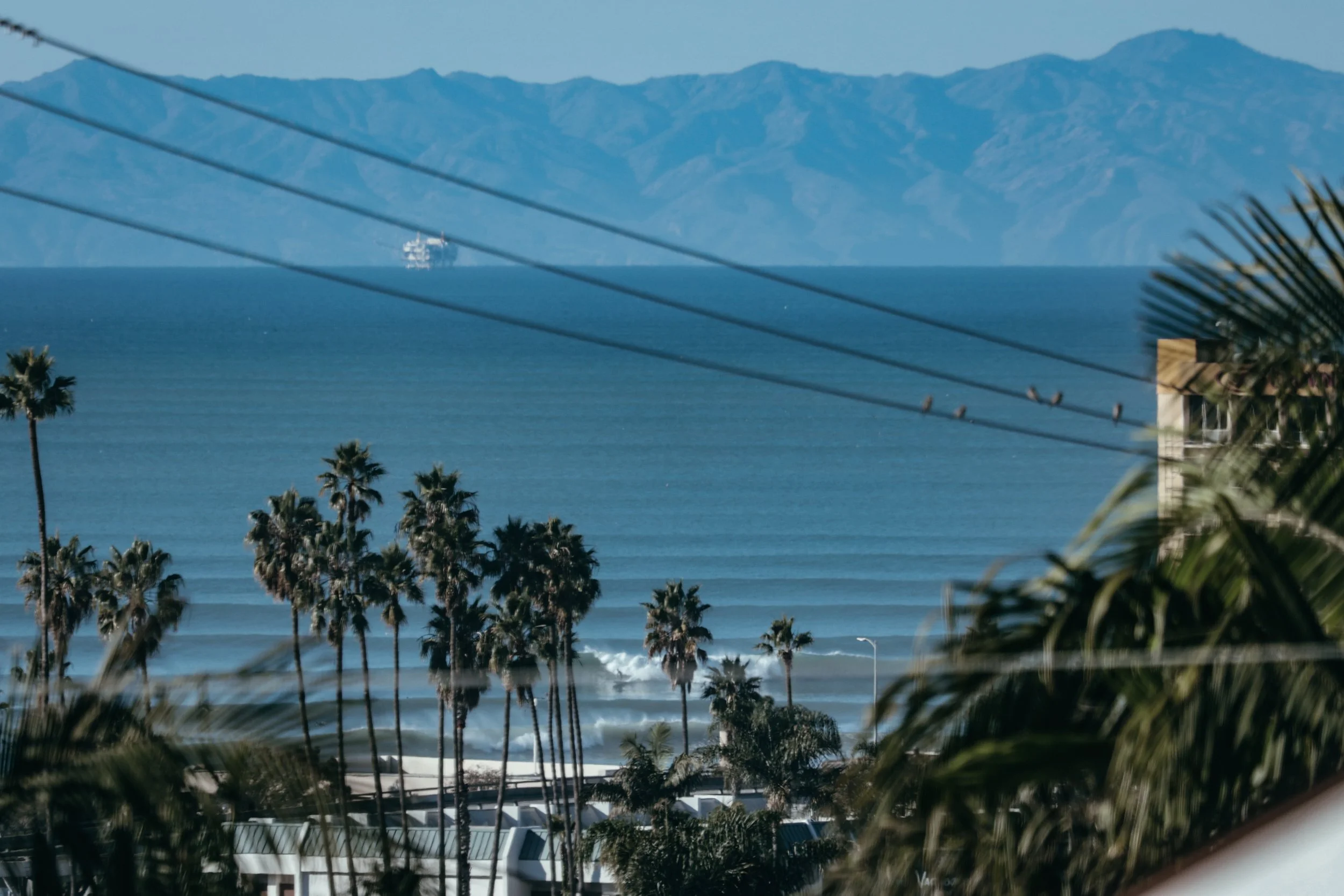 Big Swell December 2 2025 -01.jpg