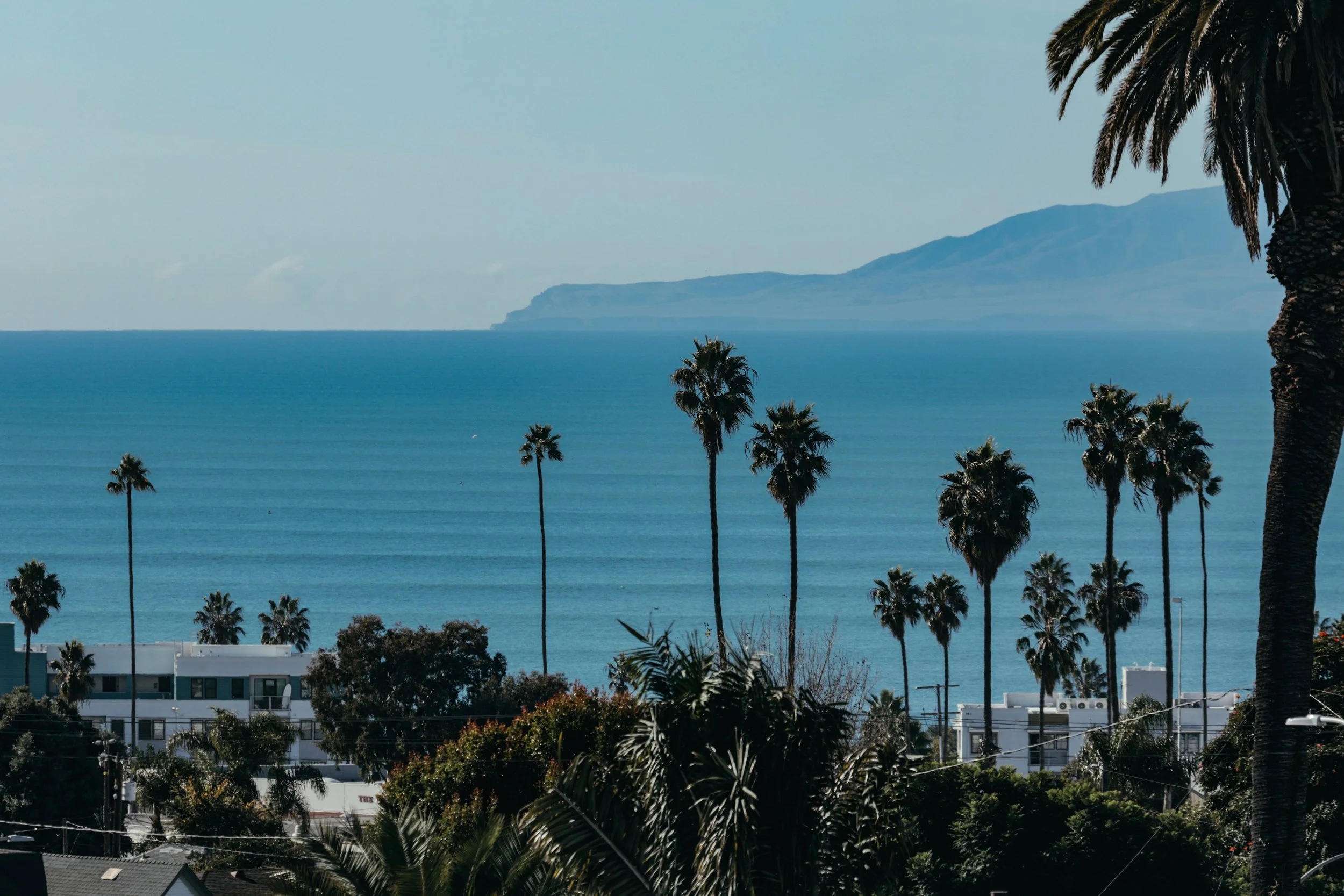 Big Swell December 2 2025 -04.jpg