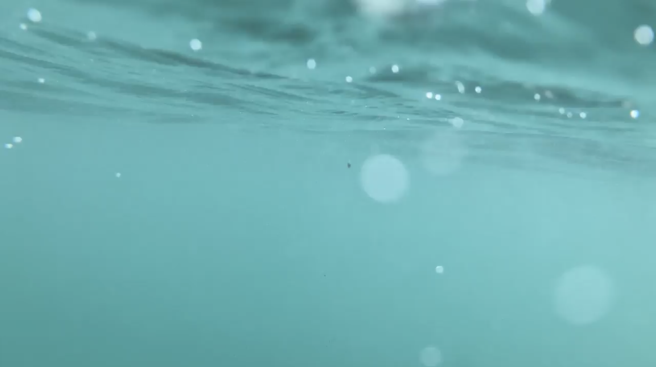 Screenshot 2026-04-15 at 3.09.43 PM.png