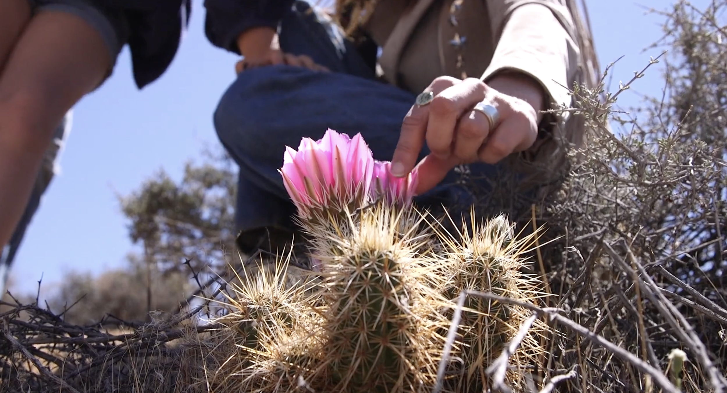 Screenshot 2026-04-17 at 11.11.26 AM.png