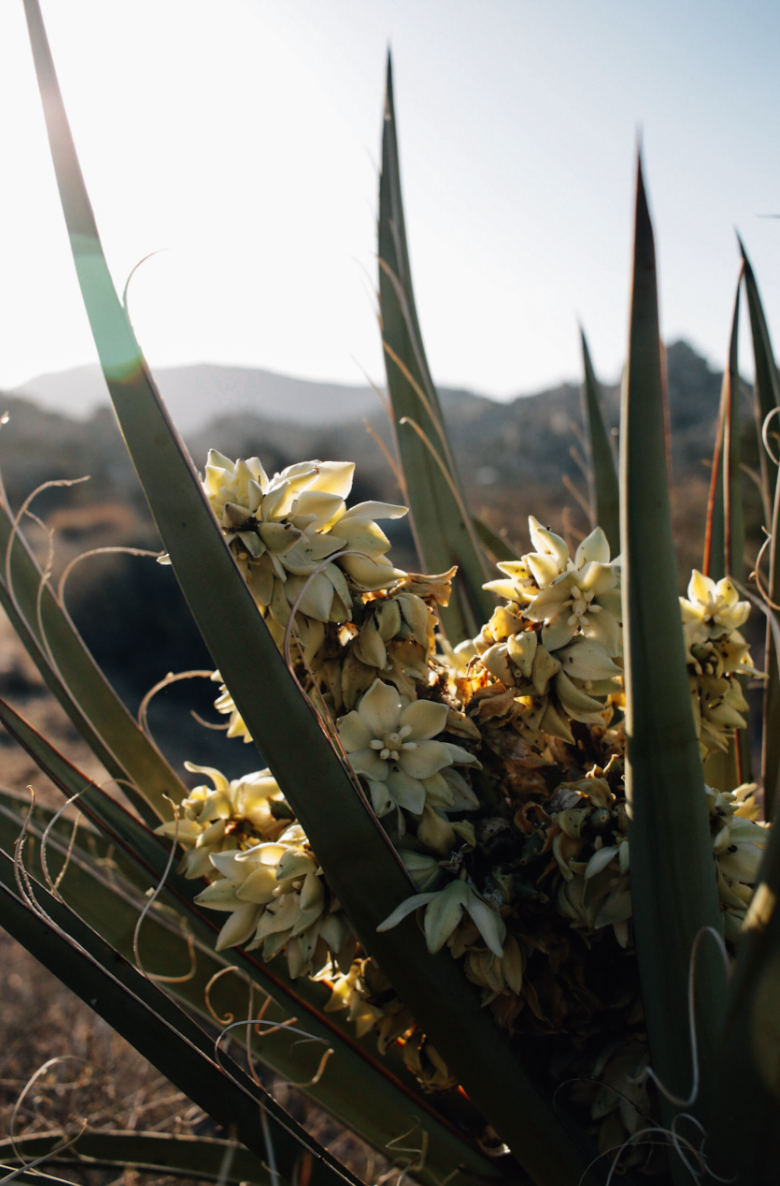 Screenshot 2026-04-17 at 11.14.29 AM.png