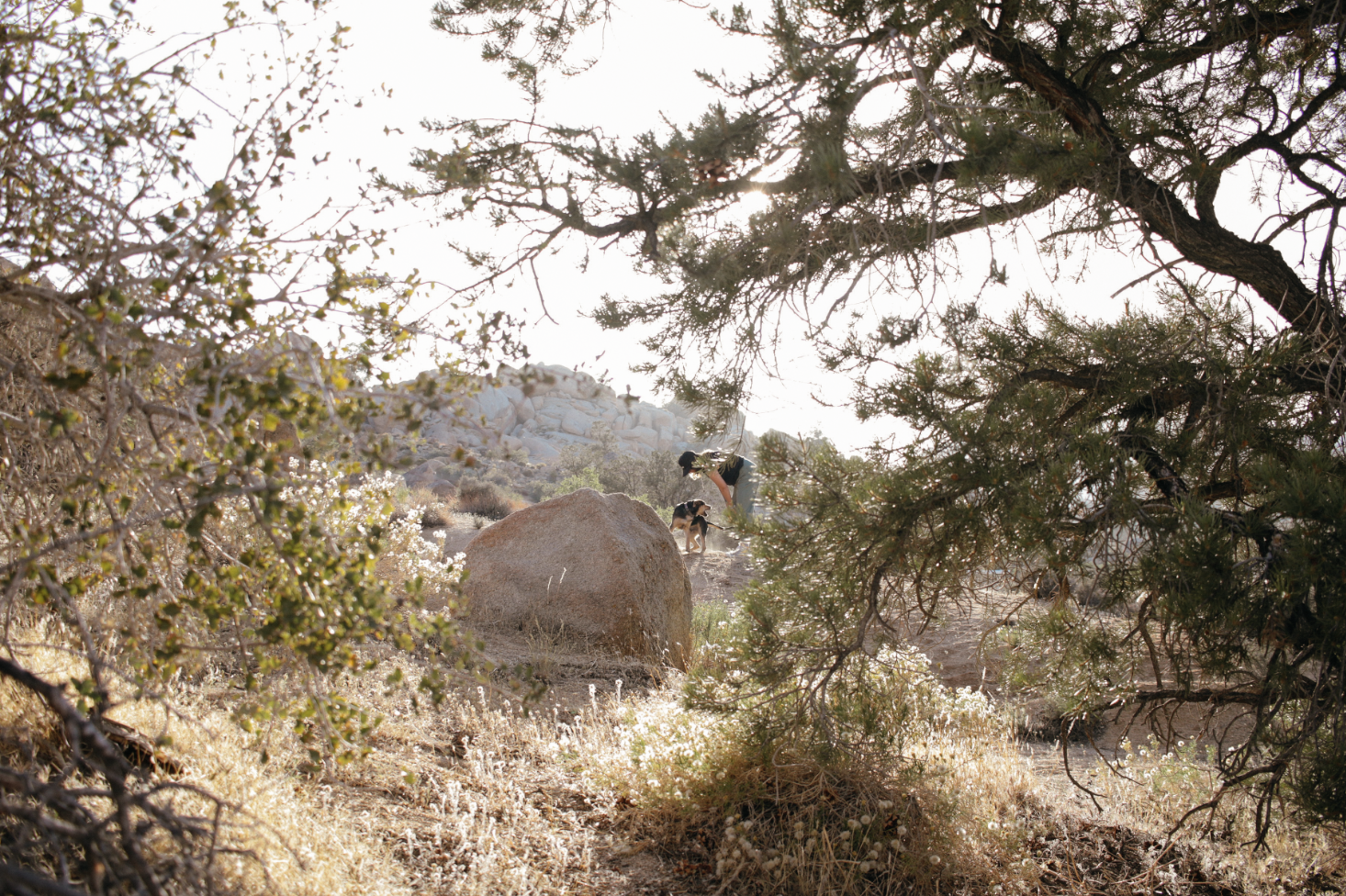 Screenshot 2026-04-17 at 11.15.22 AM.png