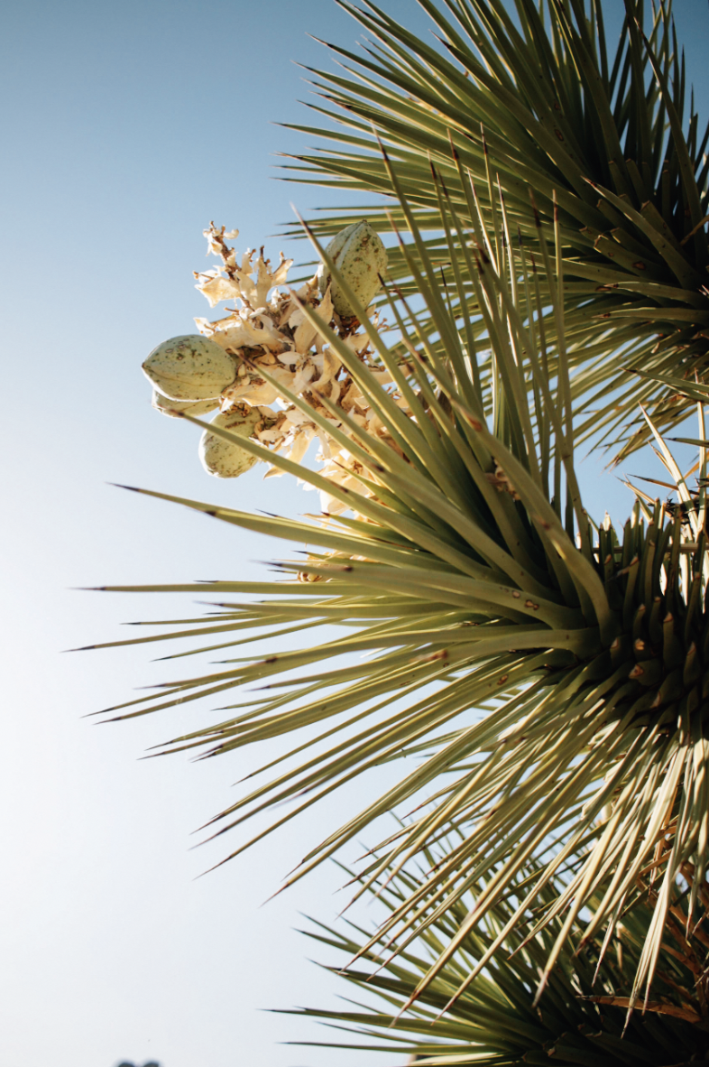 Screenshot 2026-04-17 at 11.16.43 AM.png