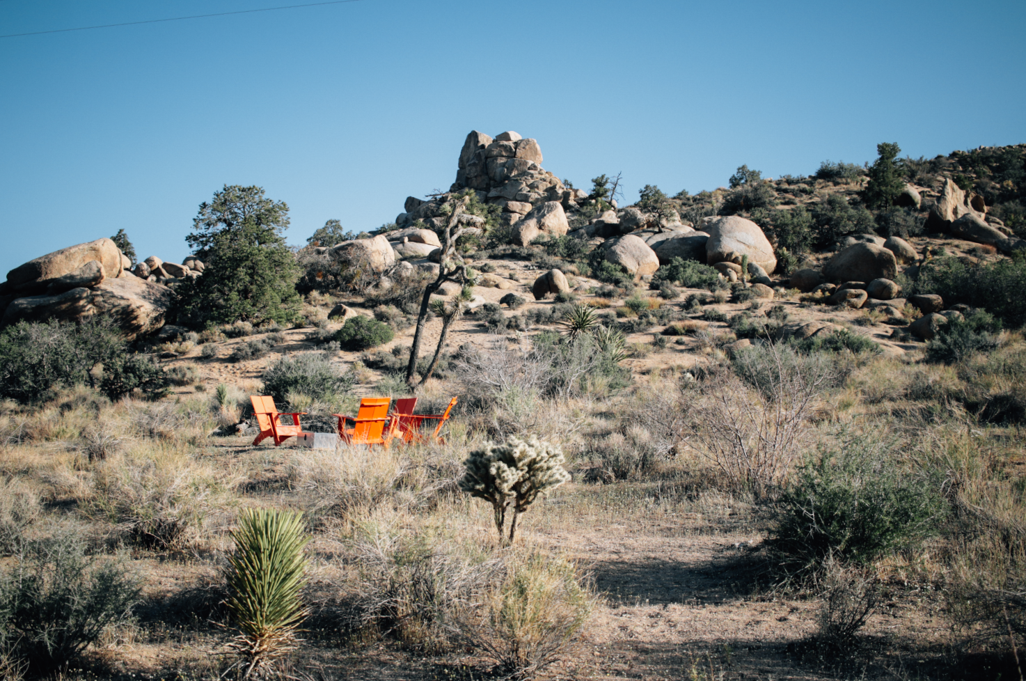 Screenshot 2026-04-17 at 11.17.07 AM.png