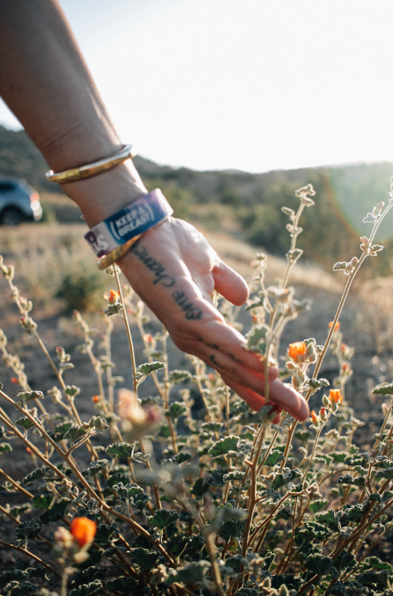 Screenshot 2026-04-17 at 12.36.33 PM.png