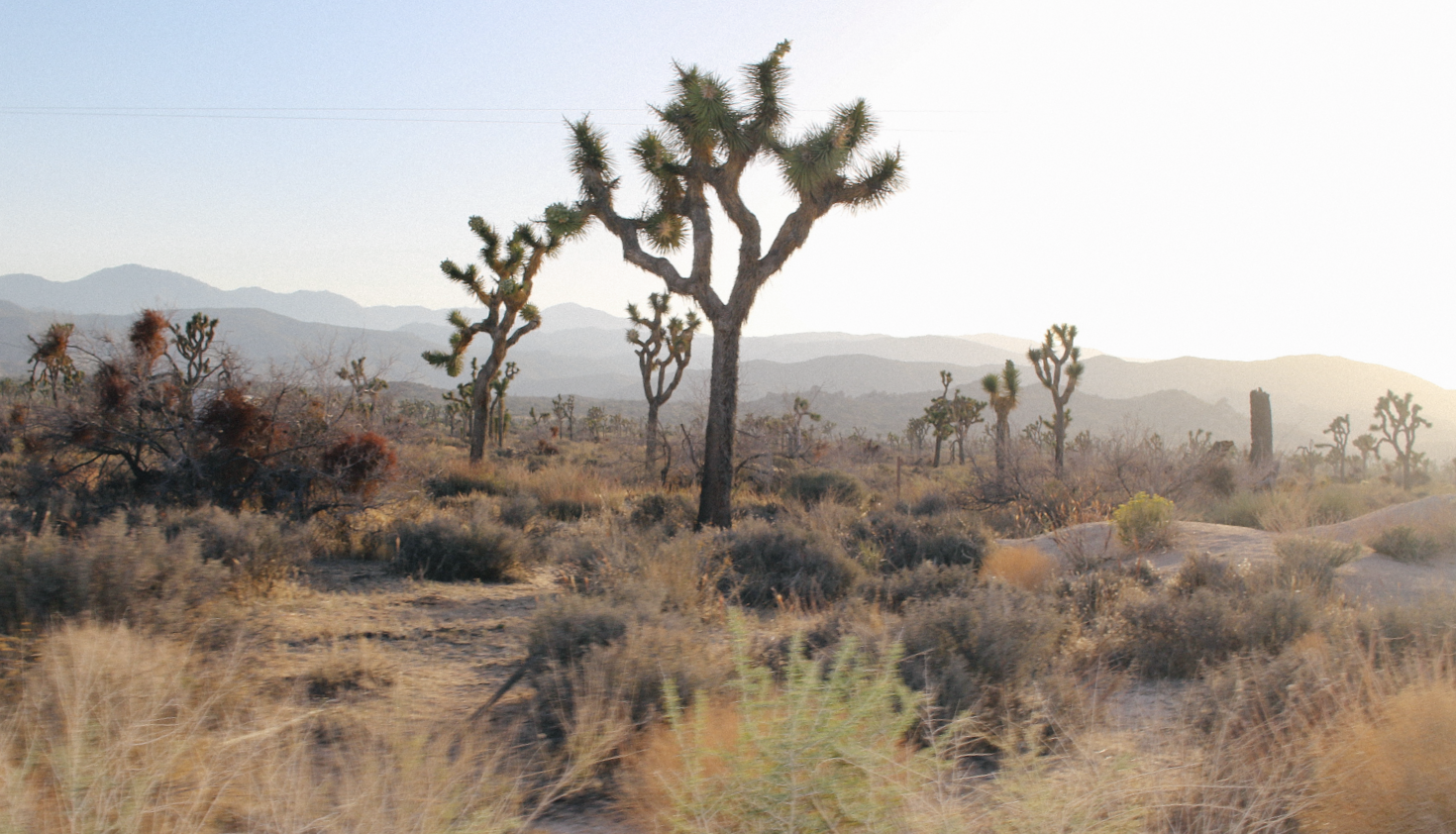 Screenshot 2026-04-17 at 12.37.30 PM.png