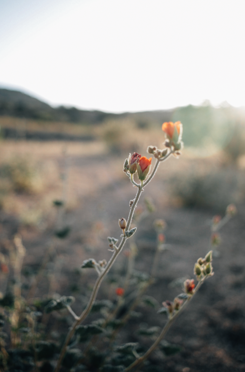 Screenshot 2026-04-17 at 12.37.53 PM.png