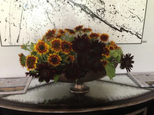 untitled album 5 - 37.jpg