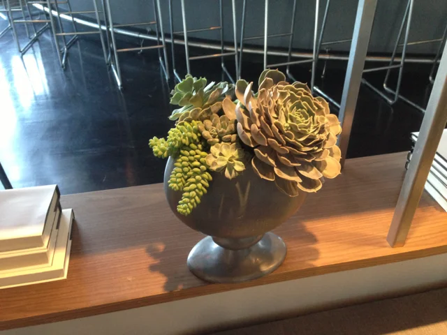 untitled album 5 - 25.jpg