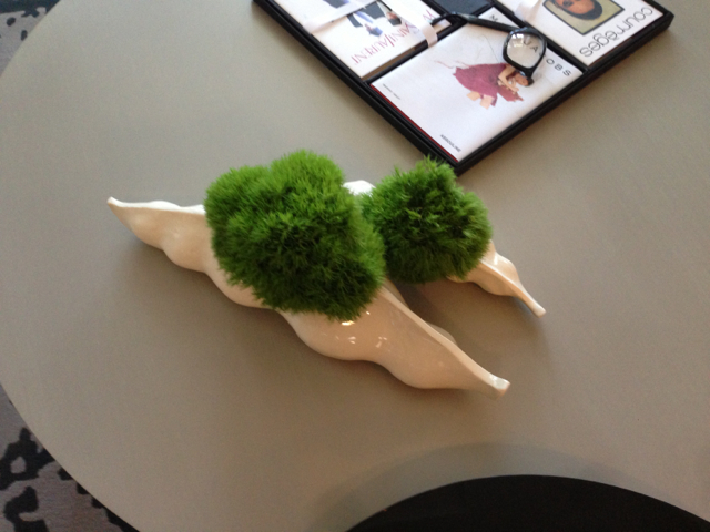 untitled album 5 - 20.jpg